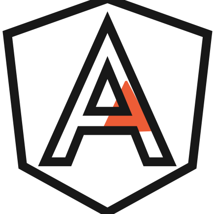 custom-angularjs-development-company.webp