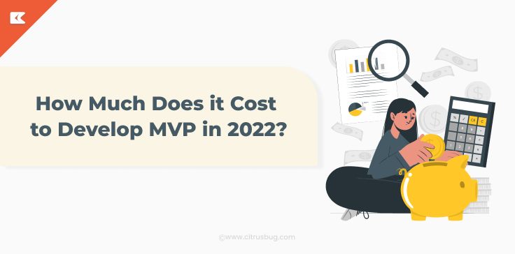 How Much Does it Cost to Develop MVP in 2024?