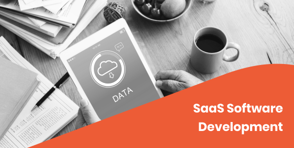 SaaS Development